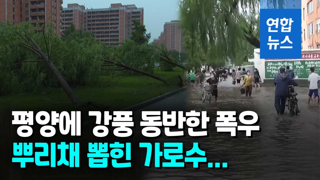 [영상] 폭우에 우박까지…북한 곳곳서 물난리 - 2