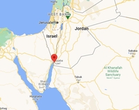 요르단 아카바 항구서 유독가스 유출…4명 사망·70명 부상