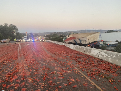 미국 고속도로에 토마토 15만개 '와르르'