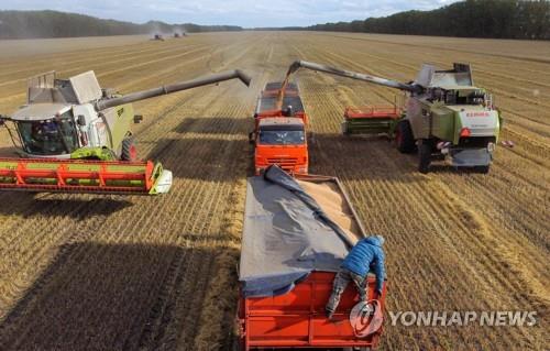 러시아 밀 기록적 풍작 전망…수출 차질에 재고만 쌓일 듯