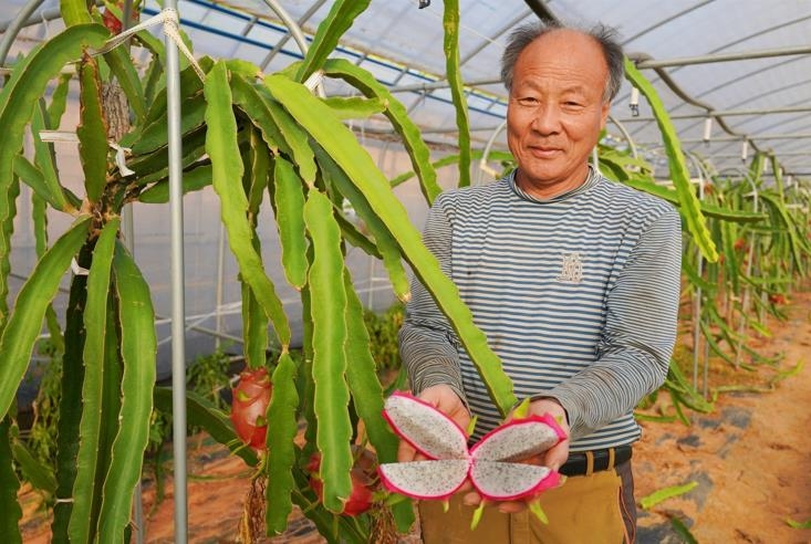용과 재배 성공한 민경식씨