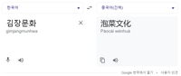 구글 번역기, '김장문화'를 '파오차이문화'로…네이버는 수정(종합)