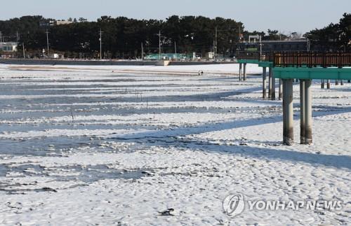 최강 추위에 유원지·거리 한산…영화관·쇼핑몰은 북적