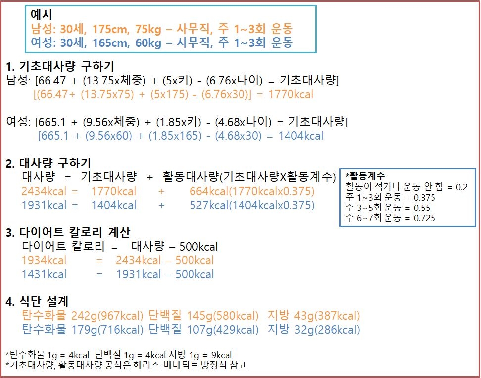IIFYM 식단 단계와 성별에 따른 예시