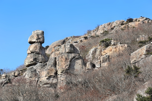 [걷고 싶은 길] 겨울 속 봄을 찾아 떠나는 천관산 탐방로