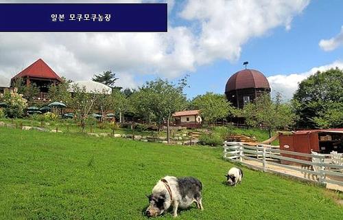 일본 모쿠모쿠 농장