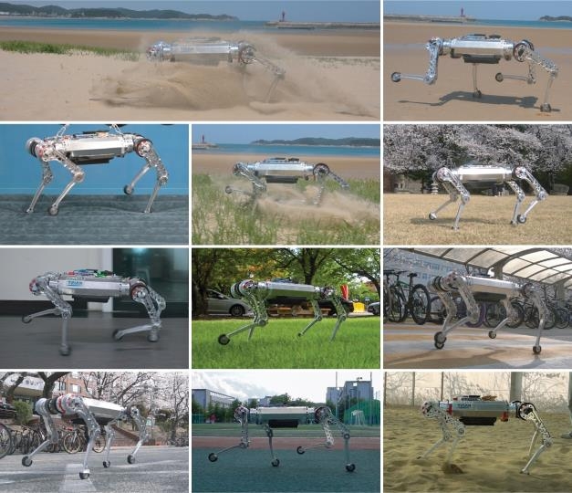 '모래사장 달리는 사족 로봇'