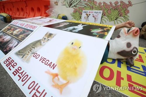 전북도, 동물 복지·보호 12개 사업에 60억 투자