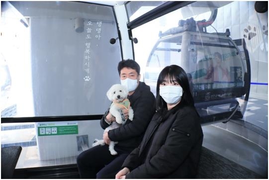 삼악산 케이블카, 반려견과 동반 탑승 가능 