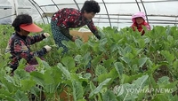 익산시, 저소득 중장년층 자립 공동일터 '익산 이로움' 개관