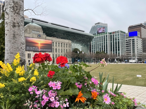 서울광장·경복궁·남산 등 160곳에 '봄꽃거리'