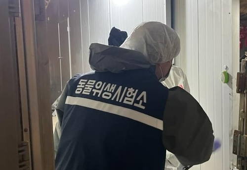 경기도, 고병원성 AI 발생농장 재입식 절차 개시