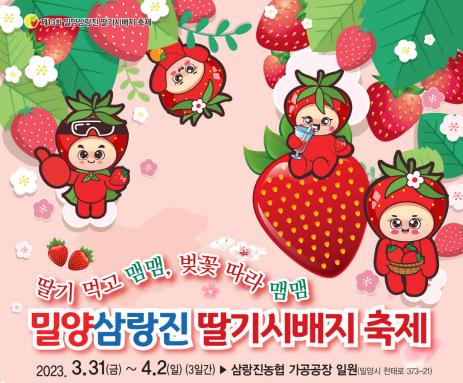 우리나라서 딸기 처음 재배한 곳 '밀양 삼랑진 딸기축제' 개막