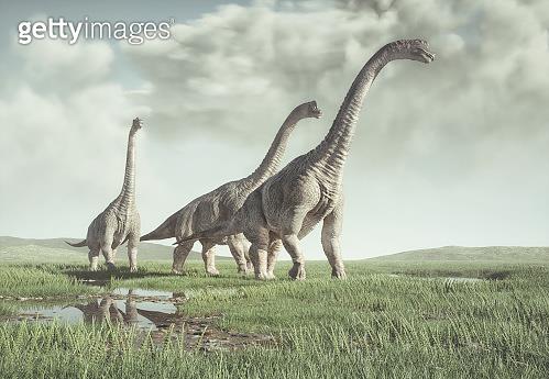 지상 최대 공룡 용각류 '덩치' 키운 진화 전략 제각각