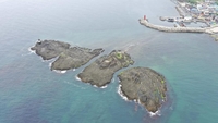 푸른 바다와 어우러진 '포항 오도리 주상절리' 천연기념물 된다