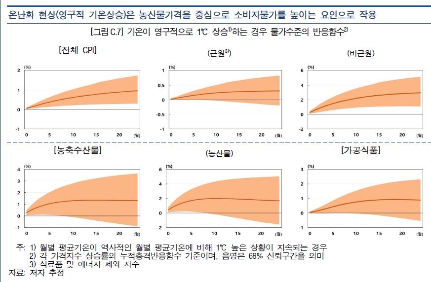 영구적 1℃ 상승에 대한 물가 수준의 반응 함수