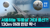 [영상] 대낮에 뜬 거대 '서울달'…30명 태우고 130ｍ 하늘에 '두둥실'