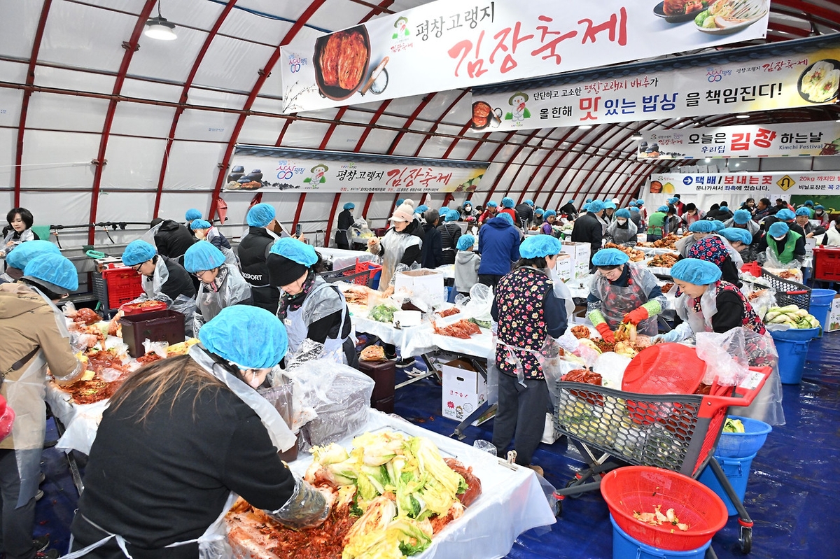 건강한 재료·간편한 김장·맛있는 김치…평창 고랭지 김장축제