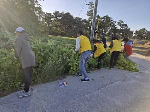 Campaign to remove plants that disrupt the ecosystem