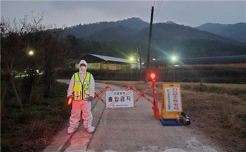 강진 오리농장서 AI항원 검출