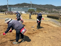 [현장In] 조경 계약직에 수국 1만그루 심어달라…노동자는 작업 거부