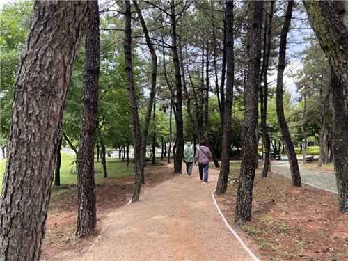 집 가까운 곳에서 사뿐사뿐…통영시, 11곳에 맨발걷기길…