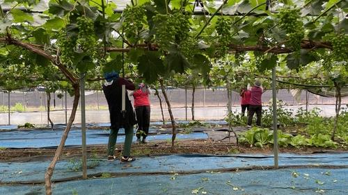 충북 6월 고용률 73.5%·실업률 1.6%…"전국 최…