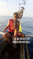 "내 몸 만지지 마!"…대왕오징어의 분노