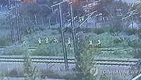 '안전 불감' 청도 열차사고 피해 7명 중 5명은 20∼30대 청년