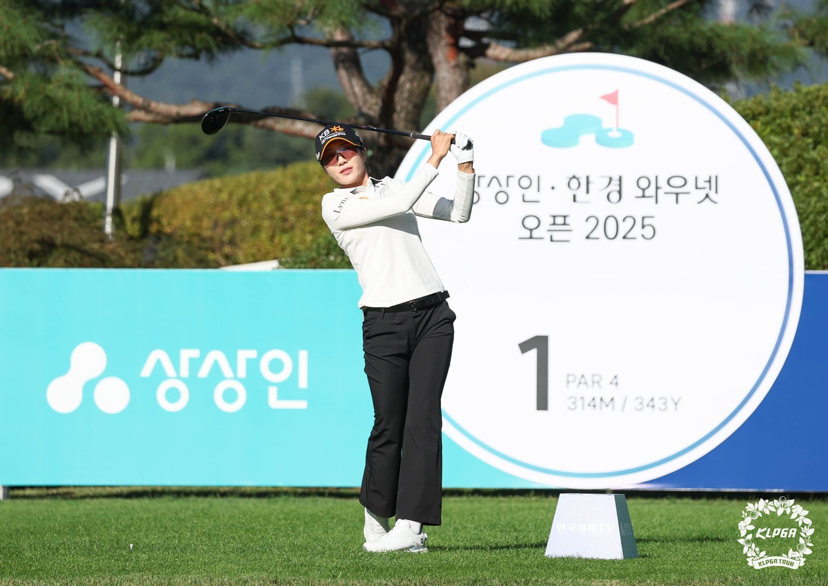 안송이
