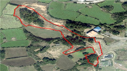 ÈÑ¼ÕµÈ ÈÄ ÀÓ¾ß »çÁø