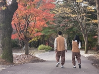 수덕사 단풍 아래 불혹의 사투…짝은 '절로' 맺어지지 않았다