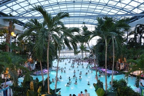 유리 돔과 야자수에 둘러싸인 루마니아 '테르메'