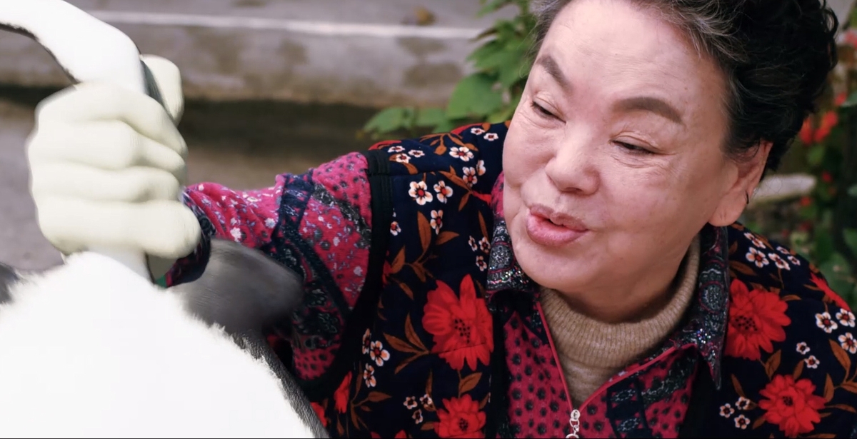 故 김수미의 마지막 코미디 영화…'홍어의 역습' 내달 개봉