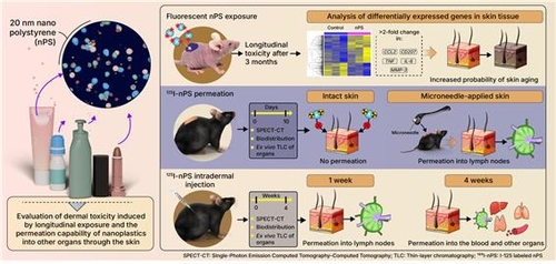 %22피부 통해 몸속으로 퍼진다%22…나노플라스틱 확산 첫 규명