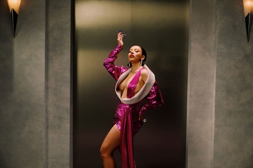 팝스타 도자 캣