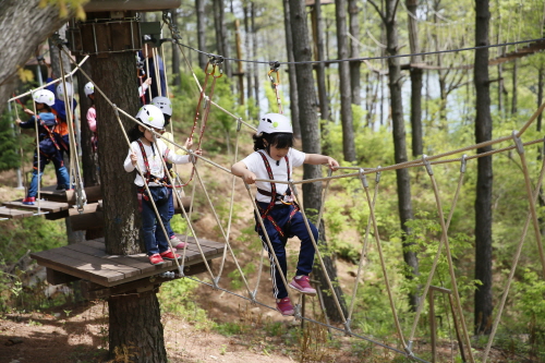 보성군, 'KBS 1박 2일에 나온 촬영지가 어디예요' - 1