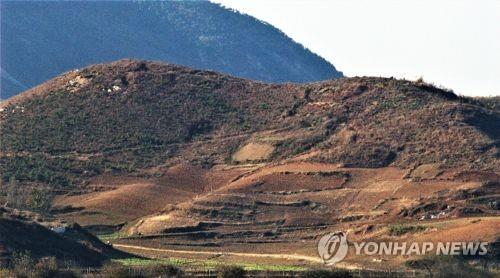 Corea del Norte participará en una conferencia de cooperación forestal del Este Asiático