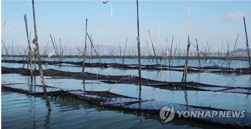 La producción pesquera de Corea del Sur aumenta un 1,2 por ciento en 2021
