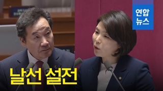 [영상] 김정은 벤츠 동승은 대북제재 위반?…대정부질문 설전