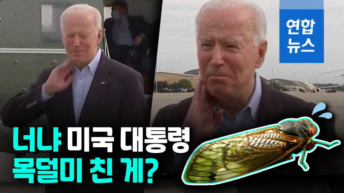 [영상] 바이든 "방금 하나 잡았다"…첫 해외순방 매미떼 소동