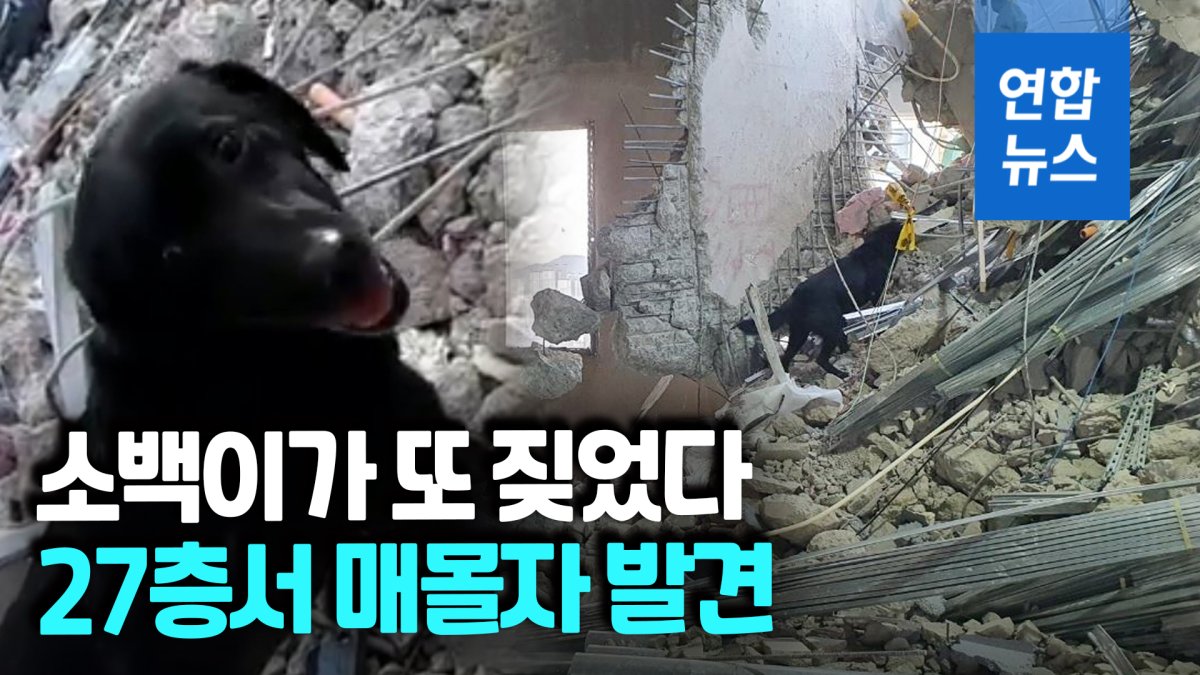 [영상] "소백이가 짖었다"…매몰자 찾아낸 9살 인명구조견