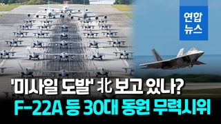 [영상] 美, 가데나 공군기지서 대북 위력시위… F-22A 등 30여대 동원