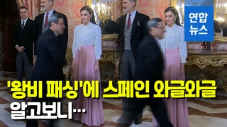 [영상] 이란 대사가 왕비 무시?…스페인 왕실 초청 리셉션에서 생긴 일