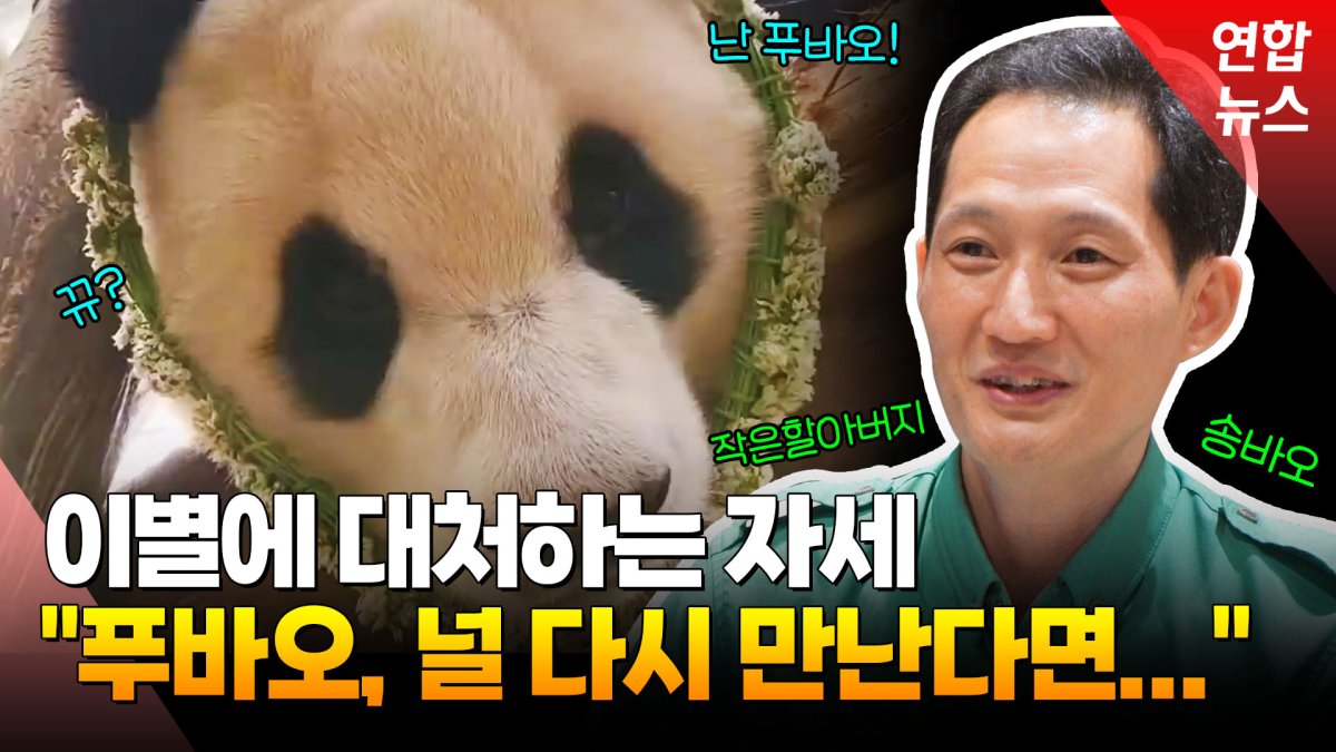 [영상] 중국 가는 에버랜드 판다 푸바오…사육사 '송바오' 심경은