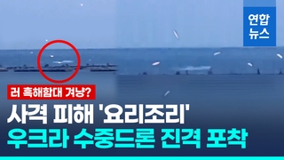  "우크라, 러 흑해함대 주둔 세바스토폴에 대규모 드론 공습"