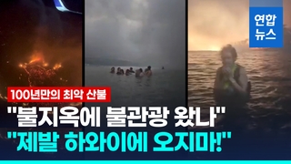  "사람 숨진 바다서 태연히 수영"…분노한 하와이 "제발, 오지마"