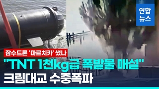 [영상] "1천㎏급 폭발물로 크림대교 수중폭파"…'진주만급 기습' 이틀만