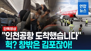 [영상] 인천공항 착륙했다더니 창밖은 김포…승무원도 놀라 '허둥지둥'