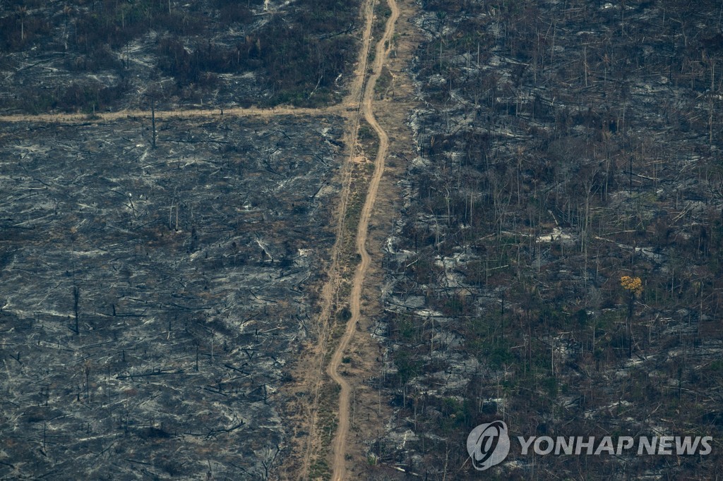 2019년 8월 28일 브라질 파라주(州) 알타미라 지역의 열대우림이 불탄 잔해. [AP=연합뉴스]